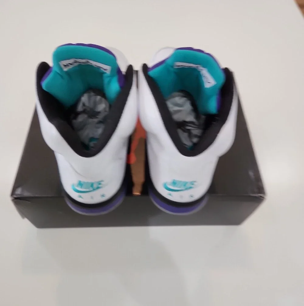 Jordan 5 Retro Grape (2025) Mens Size 12